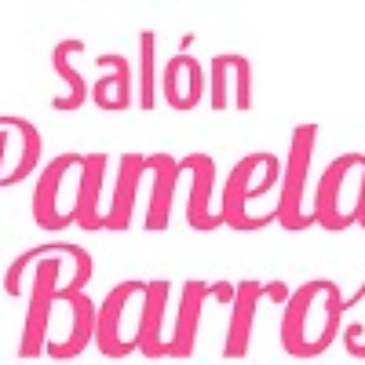 www.pamelabarros.cl